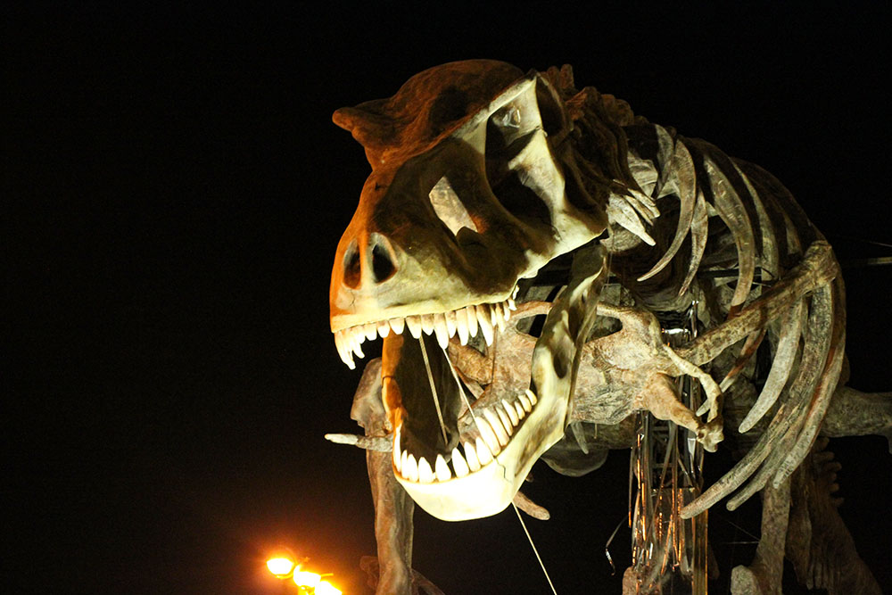 Non ci fossilizziamo (2015)