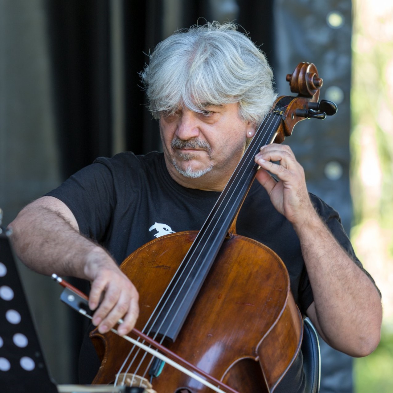 Foto  de Davide Zaccaria